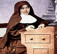 Mary MacKillop Penola Centre - Darwin Tourism