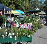 Meadows Monthly Market - Darwin Tourism