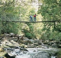 Arve Forest Drive - Darwin Tourism