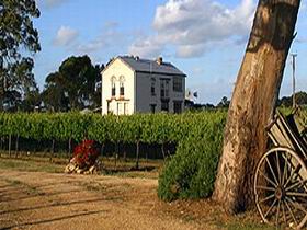 Highbank Vineyards - Darwin Tourism 0