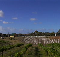 Deep Creek Wines and Alpacas - Darwin Tourism
