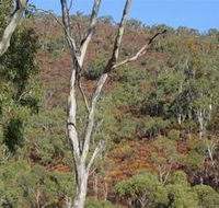 Black Hill Conservation Park - Darwin Tourism