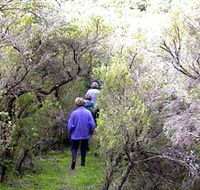 Jack And Hilda McArthur Walk - Darwin Tourism