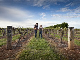 Coonawarra Wineries Walking Trail - Darwin Tourism 0
