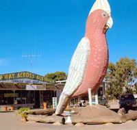 The Big Galah - Darwin Tourism