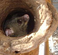 Mulga Sanctuary and Wildlife Park - Darwin Tourism