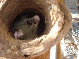 Mulga Sanctuary And Wildlife Park - Darwin Tourism 0