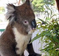 Glen-Forest Tourist Park - Darwin Tourism