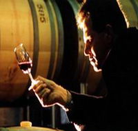 Salena Estate Wines - Darwin Tourism