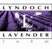 Lyndoch Lavender Farm and Cafe - Darwin Tourism