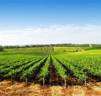 Aldinga Bay Winery - Darwin Tourism
