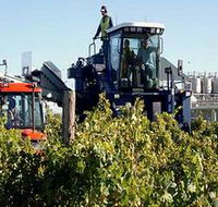 Ballast Stone Estate Wines Pty Ltd - Darwin Tourism