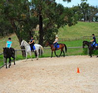 Megan Jones Riding School and Trail Rides - Darwin Tourism
