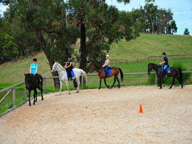 Megan Jones Riding School And Trail Rides - Darwin Tourism 0