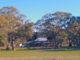 Old Wilpena Station - Darwin Tourism 0