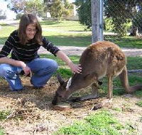 Pendleton Farmstay - Darwin Tourism