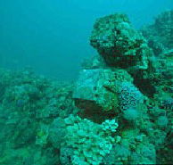 Adelaide's Underwater Heritage Trail - Darwin Tourism