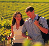 Lady Bay Vineyard - Darwin Tourism