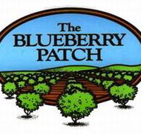 The Blueberry Patch - Darwin Tourism