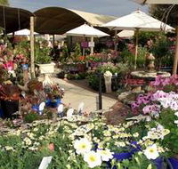 Serenity Nursery - Darwin Tourism