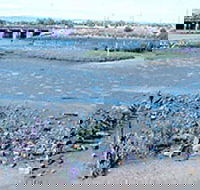 Jervois Basin Ships' Graveyard - Darwin Tourism