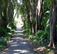 Adelaide Botanic Garden - Darwin Tourism