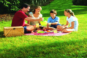 Alonnah TAS Darwin Tourism