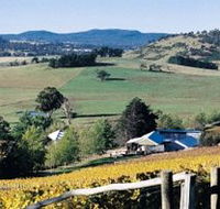 Freycinet Vineyards Pty Ltd - Darwin Tourism