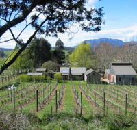Wilmot Hills Vineyard - Darwin Tourism