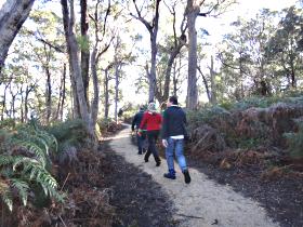 Bridport TAS Darwin Tourism