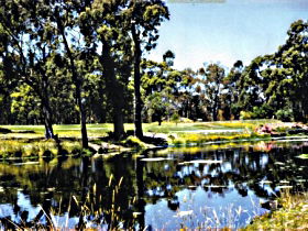 Smithton Country Club - Darwin Tourism 0