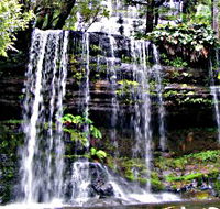 Mt Field National Park - Darwin Tourism