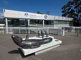 Australia's Antarctic Headquarters - Darwin Tourism 0