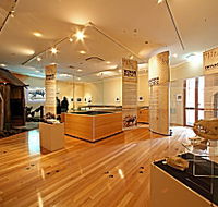 Tasmanian Tiger Exhibition - Darwin Tourism