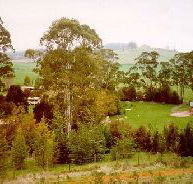 The Tasmanian Arboretum - Darwin Tourism