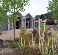 Tin Dragon Interpretation Centre and Cafe - Darwin Tourism