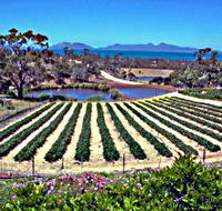 Kate's Berry Farm - Darwin Tourism