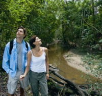Mooloolah River National Park Jowarra Section - Darwin Tourism