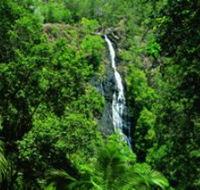 Kondalilla National Park - Darwin Tourism