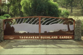 Buckland TAS Darwin Tourism