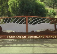 Tasmanian Bushland Garden - Darwin Tourism
