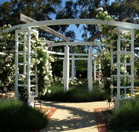Old Parliament House Gardens - Darwin Tourism