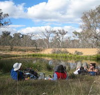 Canberra Nature Park - Darwin Tourism