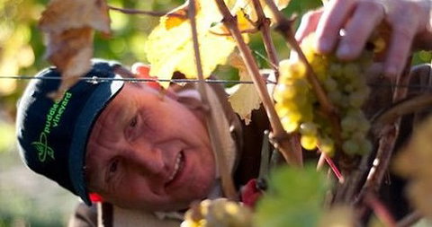 Puddleduck Vineyard - Darwin Tourism 0