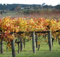 Apsley Gorge Vineyard - Darwin Tourism