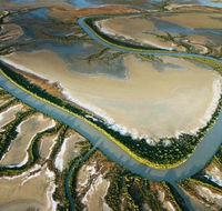 The Wilderness Gallery - Darwin Tourism