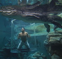Crocosaurus Cove - Darwin Tourism