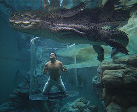 Crocosaurus Cove - Darwin Tourism 0