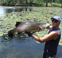 Barra Feeding - Darwin Tourism