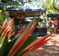 Nightcliff Markets - Darwin Tourism